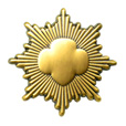 feature icon